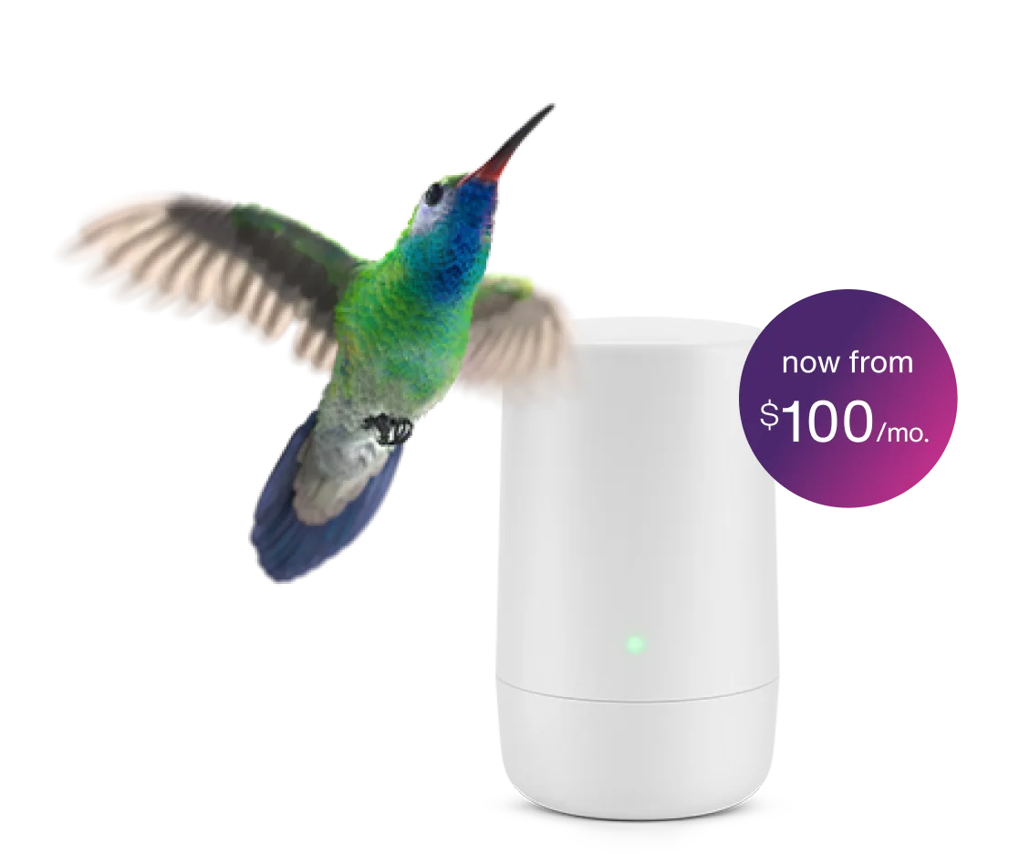 An image showing a TELUS Internet Modem and a hummingbird with a roundel saying "Now from $100 per month".