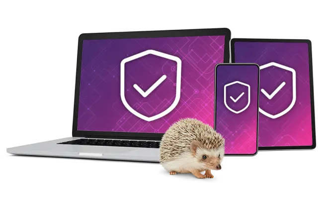 An image showing a laptop, a mobile phone and a tablet that has Online Security logo on each screen, and a hedgehog on the foreground.