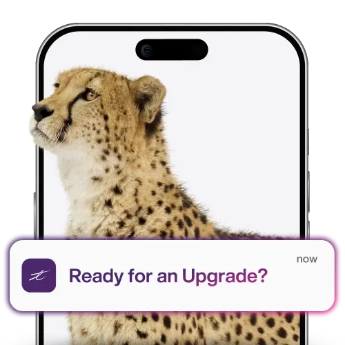 A smartphone displaying an image of a cheetah looking to the right. Text shows “Ready for an upgrade?”.