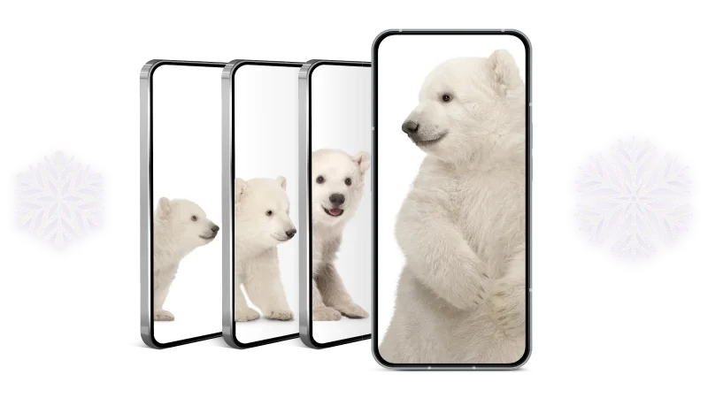 Quatre téléphones intelligents disposés en cascade, chacun affichant des images d’un ourson polaire dans différentes positions.