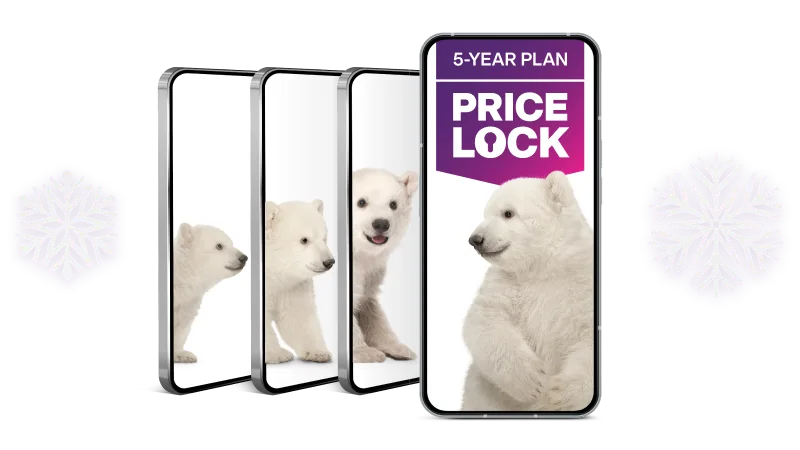 Four smartphones arranged in an overlapping cascade, each displaying images of a polar bear cub in different poses.