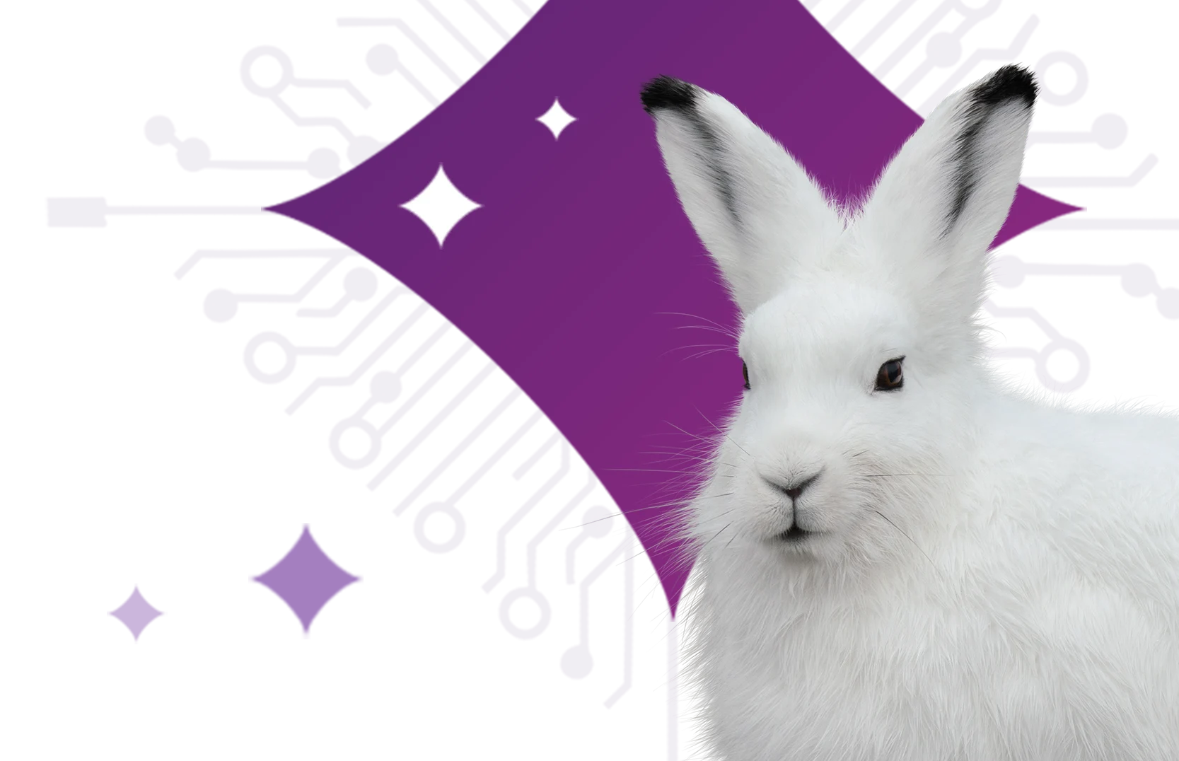 Arctic hare graphic promoting the AI financial agent