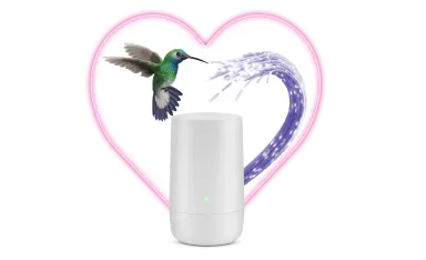 A hummingbird flying toward a TELUS WiFi modem with a pink heart in the background.