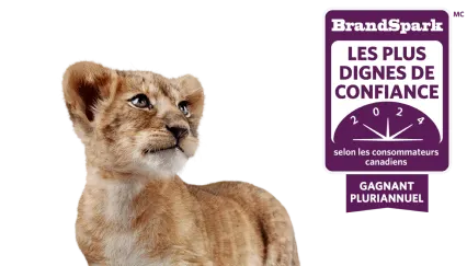 Le lionceau Léo admire le prix que TELUS a obtenu encore une fois en 2024 décerné par BrandSpark au fournisseur le plus digne de confiance au pays.