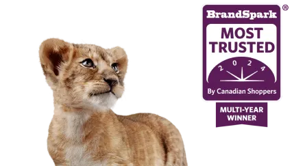 Leo the lion cub checks out TELUS’ 2024 BrandSpark Most Trusted by Canadian Shoppers multi-year winner award.