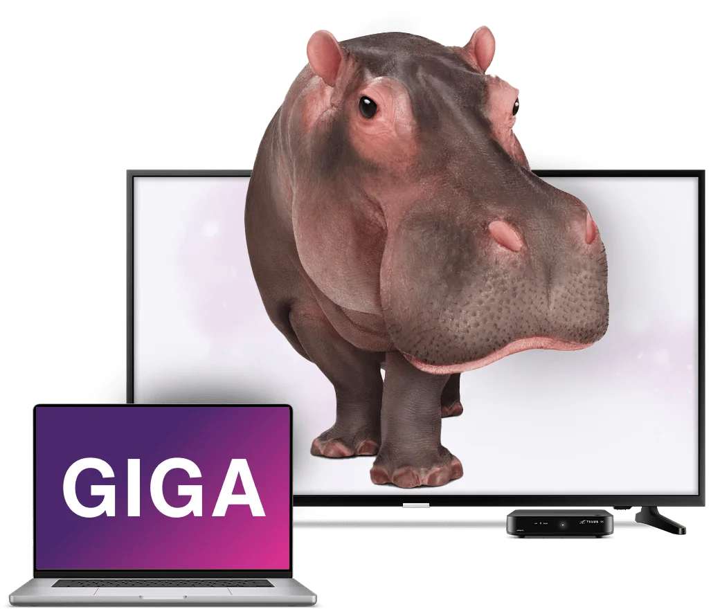 Un ordinateur portable et une télévision. La télévision affiche un hippopotame qui sort de l'écran, tandis que l'ordinateur portable affiche le mot : Giga. 