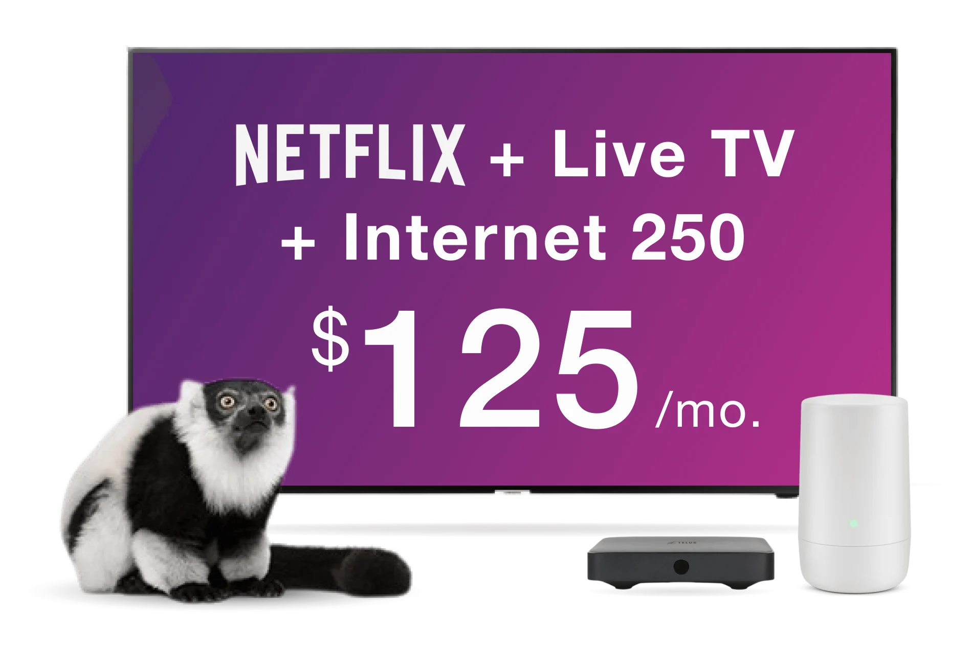 A TV displays the Optik TV offer of live TV and Netflix together with a TELUS TV Digital Box.