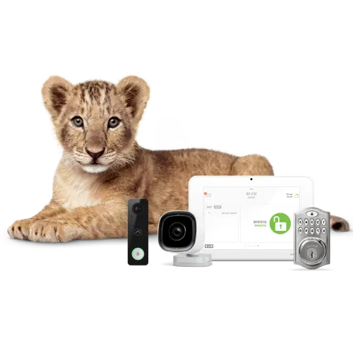 Front view of an Outdoor Camera with other SmartHome Security monitoring devices.