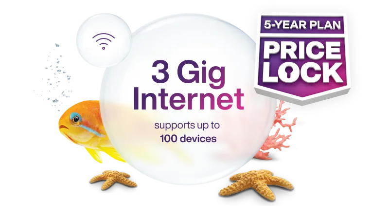 White Wi-Fi router surrounded by coral, starfish, and an orange fish, with a "5-Year Plan Price Lock" badge and a bubble that says "3 gig Internet, supports up to 100 devices".