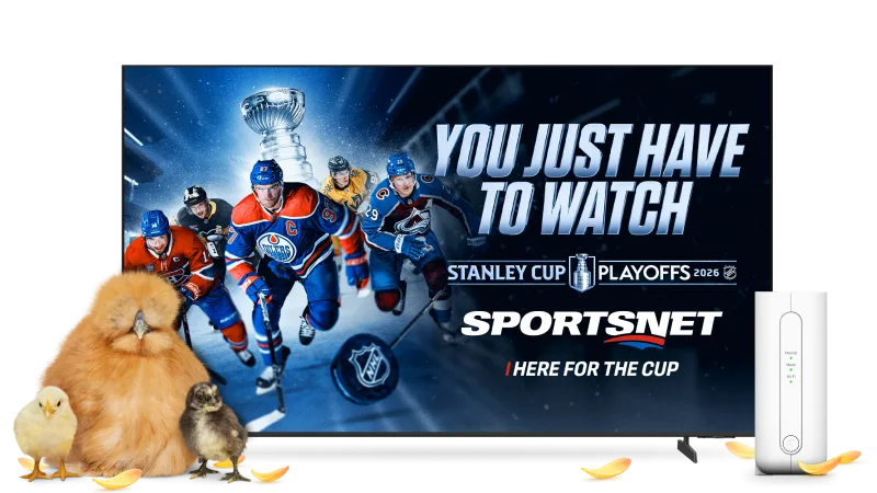 A chicken with her two babies standing next to a TV and TELUS modem. The TV displays the poster for the Stanley Cup Playoffs on Sportsnet.