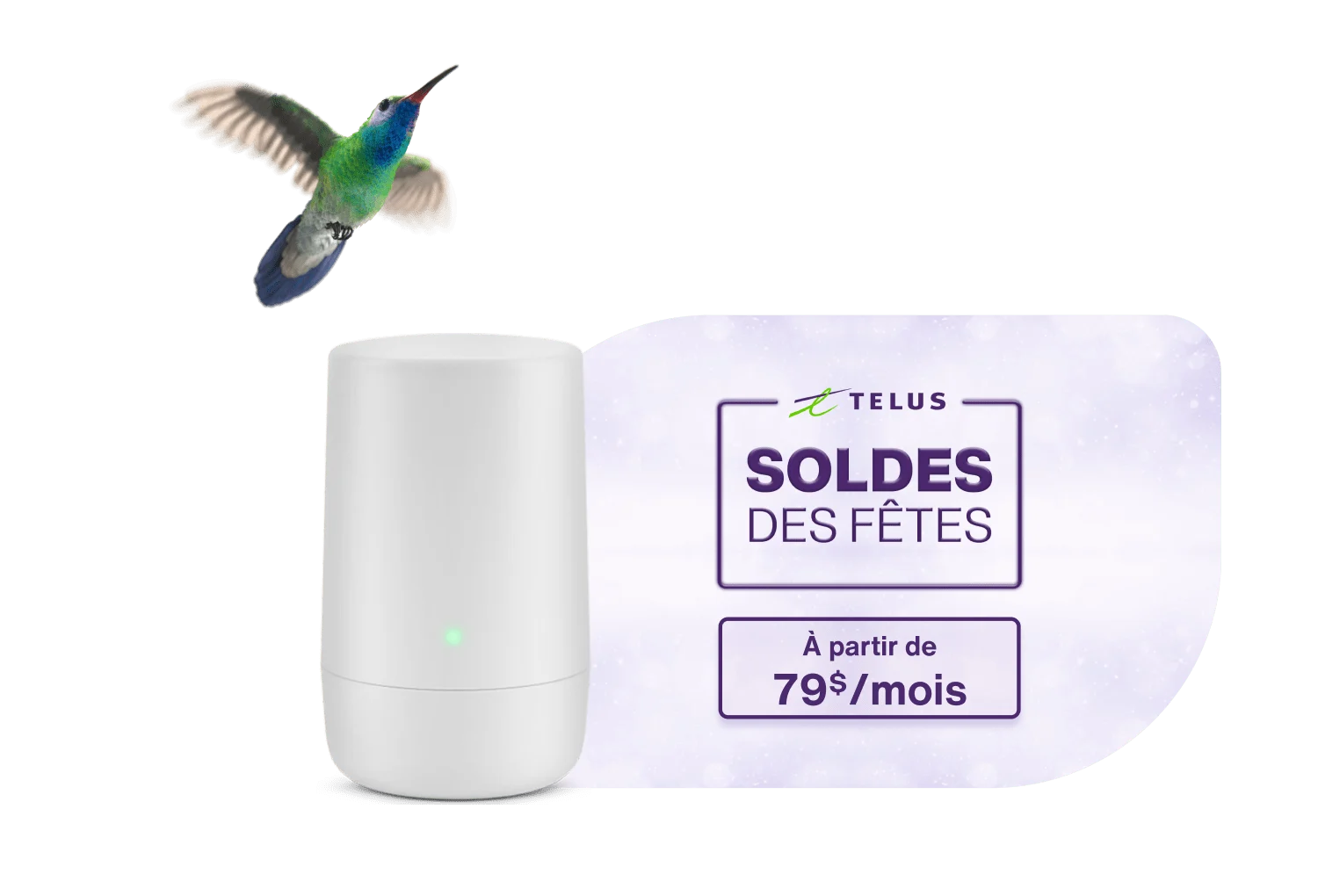 Un colibri volant en direction d'un modem TELUS. À gauche, un rond indique : Crédit de 100 $. À droite, un timbre indique : Soldes des fêtes. À partir de 79 $/mois.