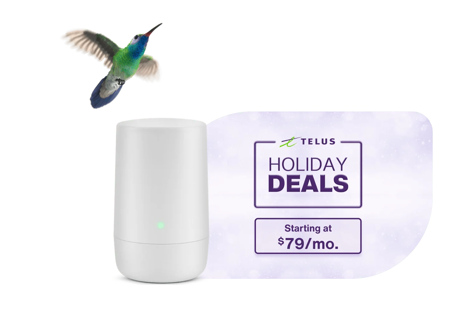 A hummingbird flying toward a TELUS modem. To the left, a roundel reads: $100 bill credit. To the right, a stamp reads: Holiday Deals. Starting at $79/month.