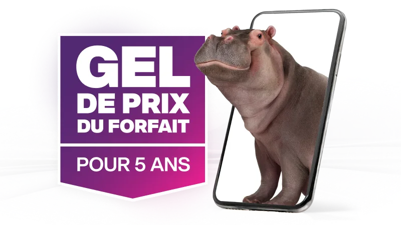 Gel de prix du forfait pour 5 ans. Un hippopotame émerge d’un téléphone intelligent.