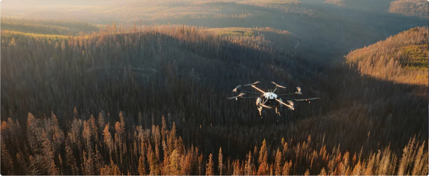 Drone survolant une forêt.