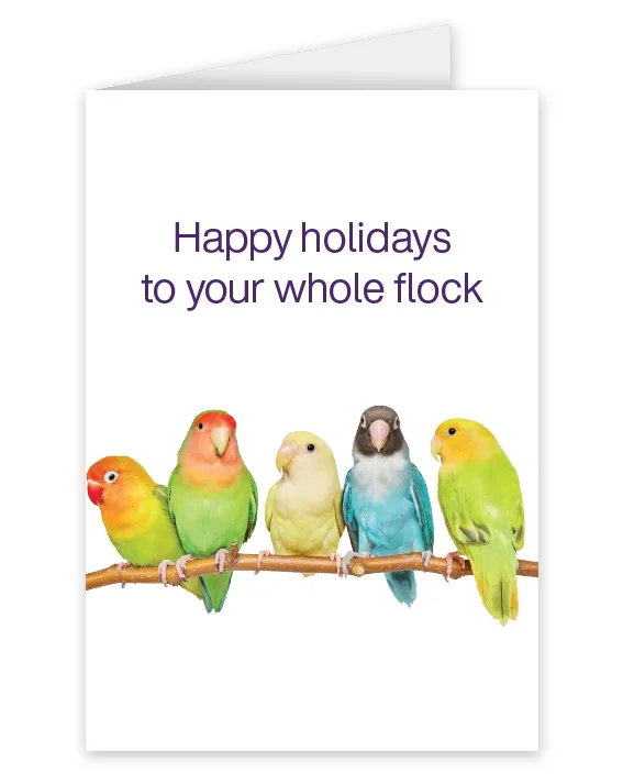A card featuring a row of colourful birds that says: Happy holidays to your whole flock