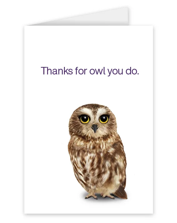 A card featuring an owl that says: Thanks for owl you do