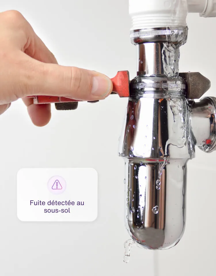 Un écran divisé qui  montre une laveuse et une sécheuse avec la notification d’application et un robinet d’arrêt d’eau avec notification d’application