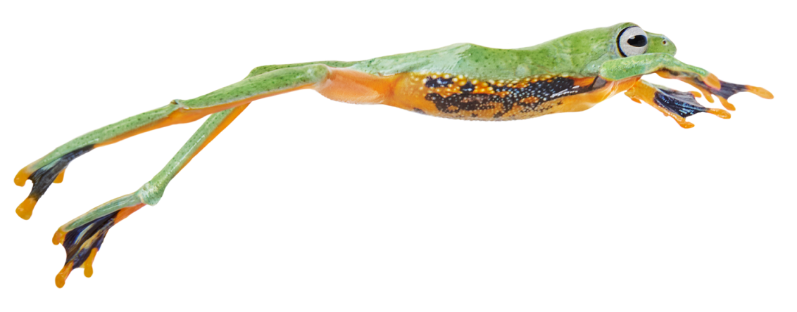 Une grenouille colorée saute d’un endroit à l’autre, symbolisant la facilité du passage à TELUS.