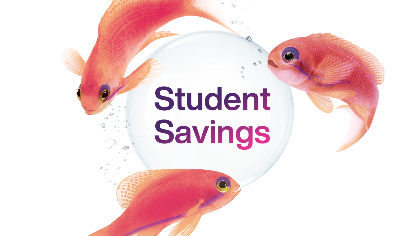 Three goldfishfish swim around a bubble that reads 'Student Savings'.