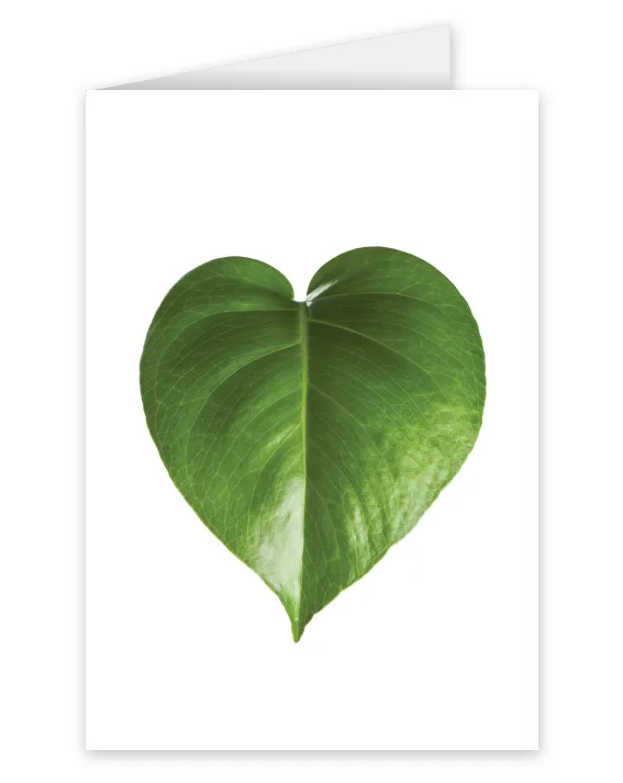 A card featuring a green leaf