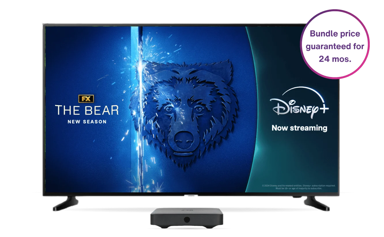 An image showing a Disney+ exclusive show 'The Bear' oan TV screen and an Optik TV set top box.