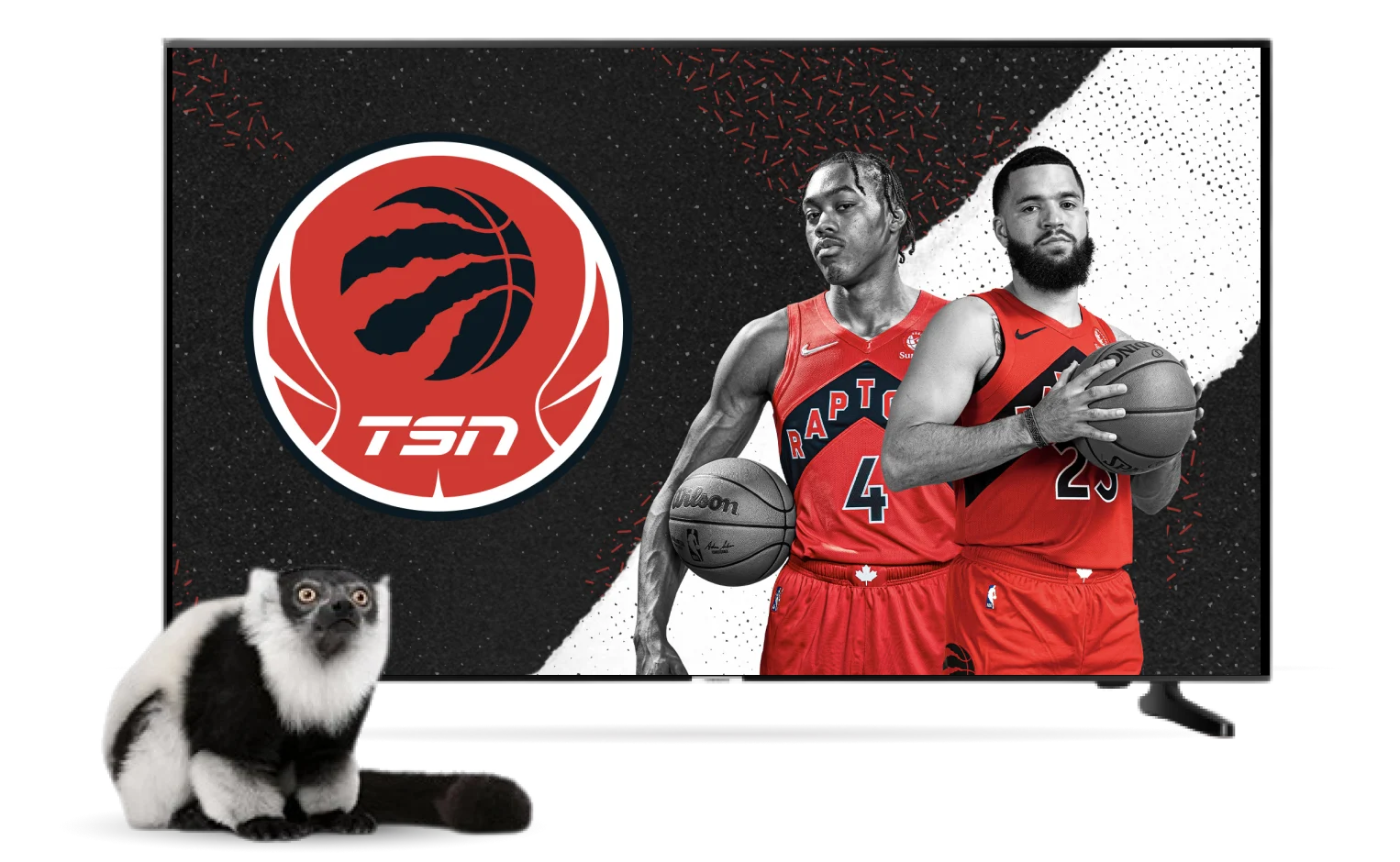 On a TV, Scottie Barnes and Fred VanVleet of the Toronto Raptors look intimidating as a terrified lemur watches.