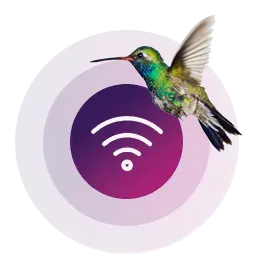 A hummingbird flies in front of a Wi-Fi internet icon showing a strong signal.