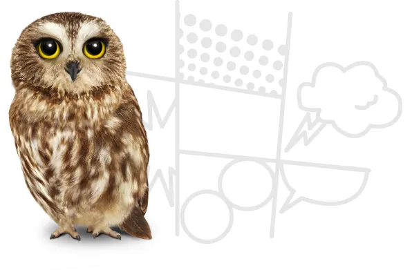 A brown owl beside sketched comic book shapes
