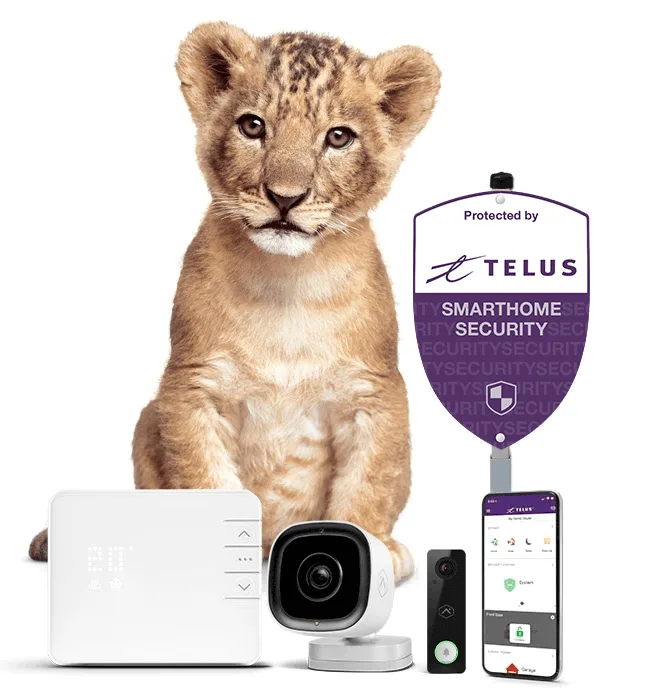 A lion cub next to assorted SmartHome Security devices and a lawn sign. The devices include a thermostat, camera, and smartphone with the SmartHome+ app open.