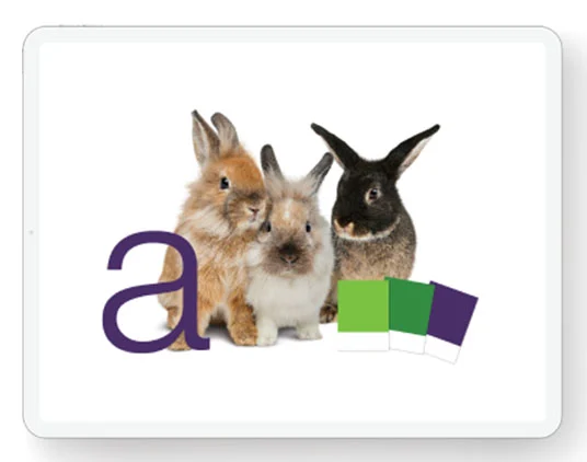 Un écran de tablette montre 3 lapins avec des cartes Pantone de TELUS