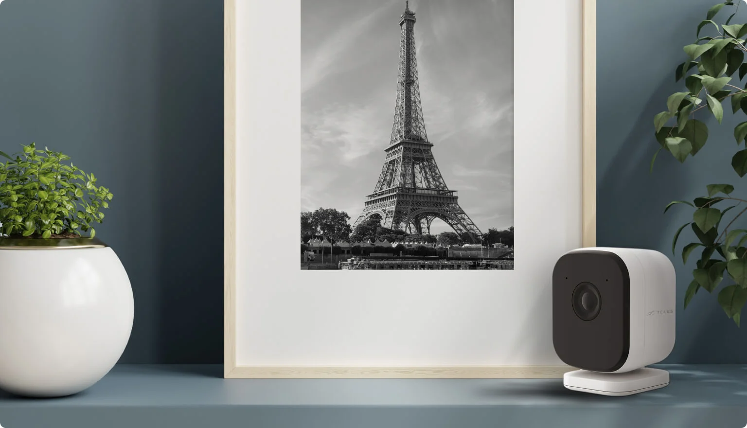 A TELUS Indoor Camera placed beside a small plant and framed image of the Eiffel Tower. 