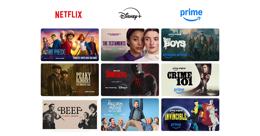 A grid showing Netflix, Disney+ and Prime Video content including One Piece: Into the grand line, The Testaments, The Boys, among others.