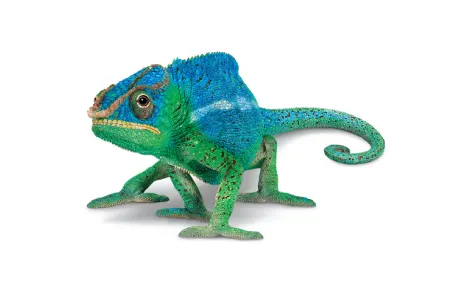 A relaxed, green and blue walking chameleon.
