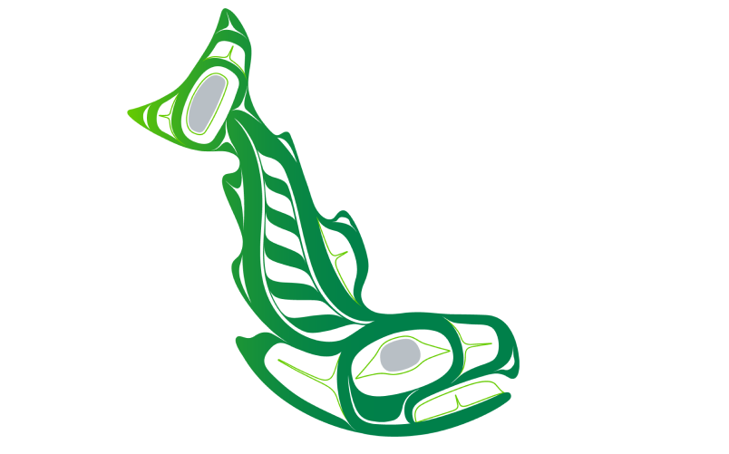 Œuvre d’art haïda représentant un saumon vert, gris et blanc, ou Chiina, qui symbolise la résilience et le renouveau