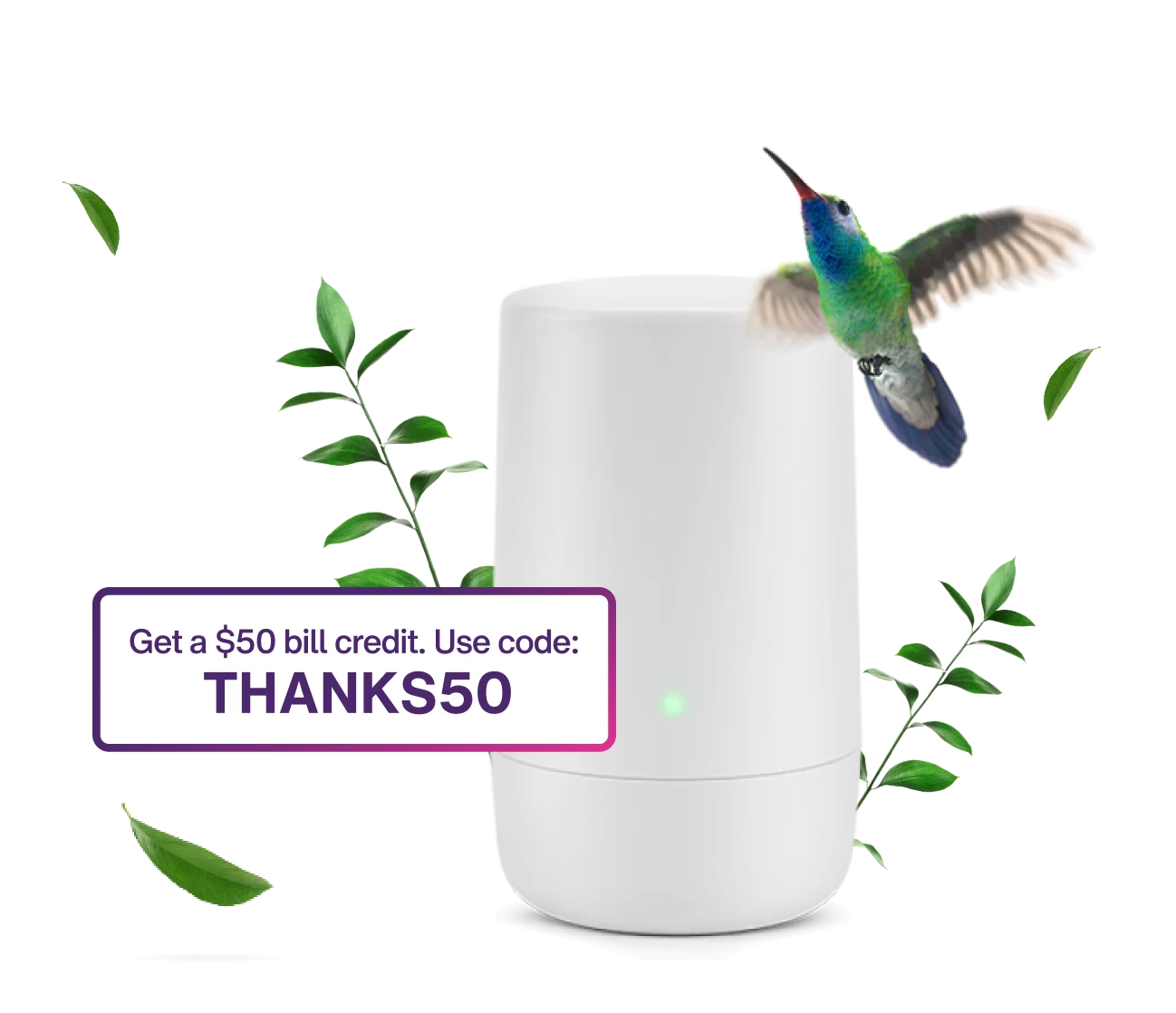 A colourful hummingbird hovers in front of a TELUS PureFibre modem, which is surrounded by falling leaves.