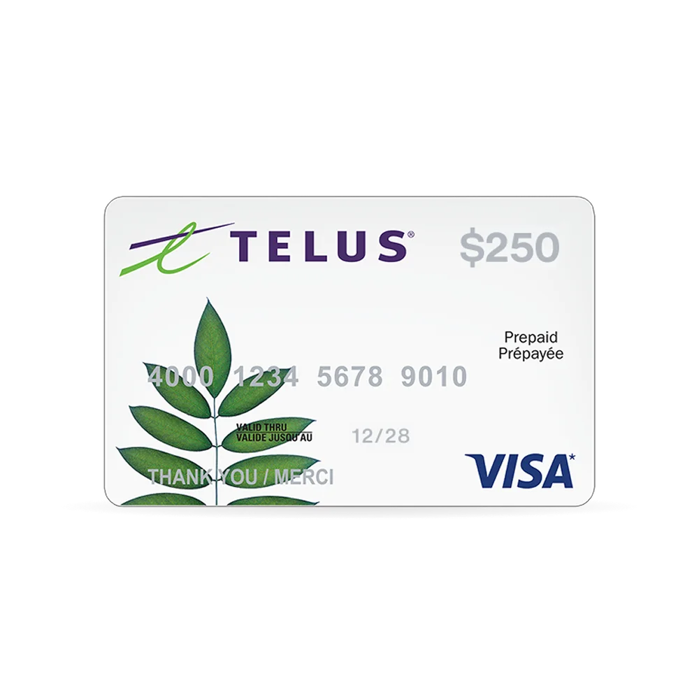 A $250 Prepaid Visa card.