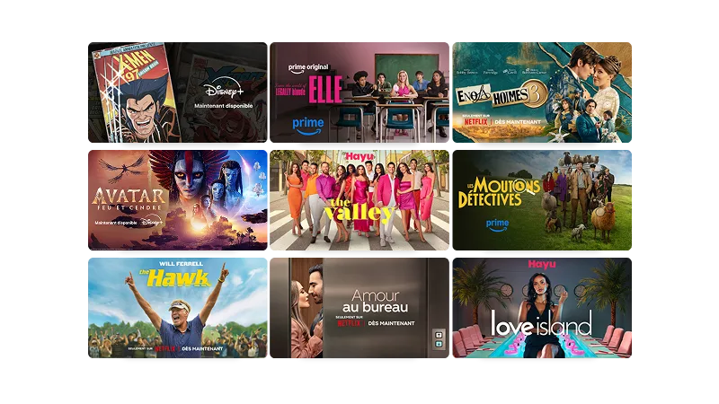 Une grille présentant le contenu de Netflix, Disney+ et Prime Video, notamment The Hawk, The Bear et Elle.