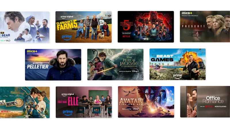 A grid showing Netflix, Disney+, Prime Video content including The Hawk, The Bear, Elle, among others.