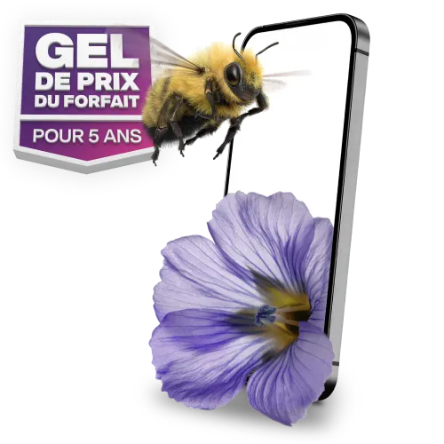 «GEL DE PRIX DU FORFAIT POUR 5 ANS » Un bourdon vole vers un téléphone intelligent avec une fleur violette.