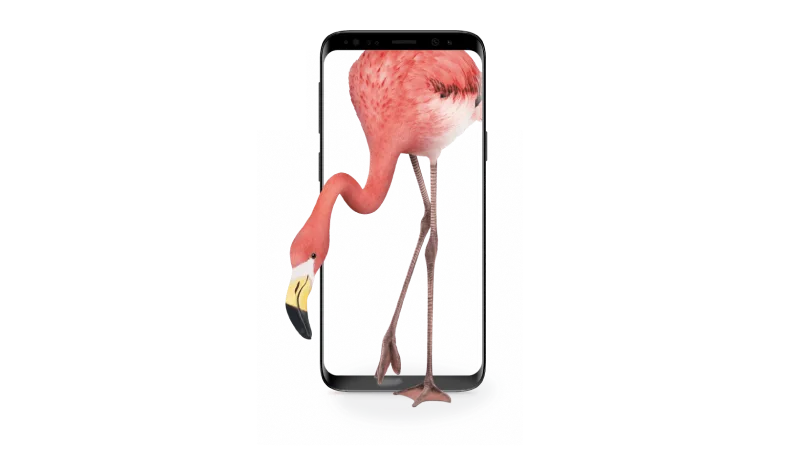 A flamingo inside a smartphone, stepping outside the screen.