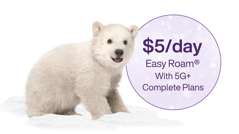 A polar bear cub reaching towards a circle including text that reads, '$5/day Easy Roam® with 5G+ Complete Plans'.