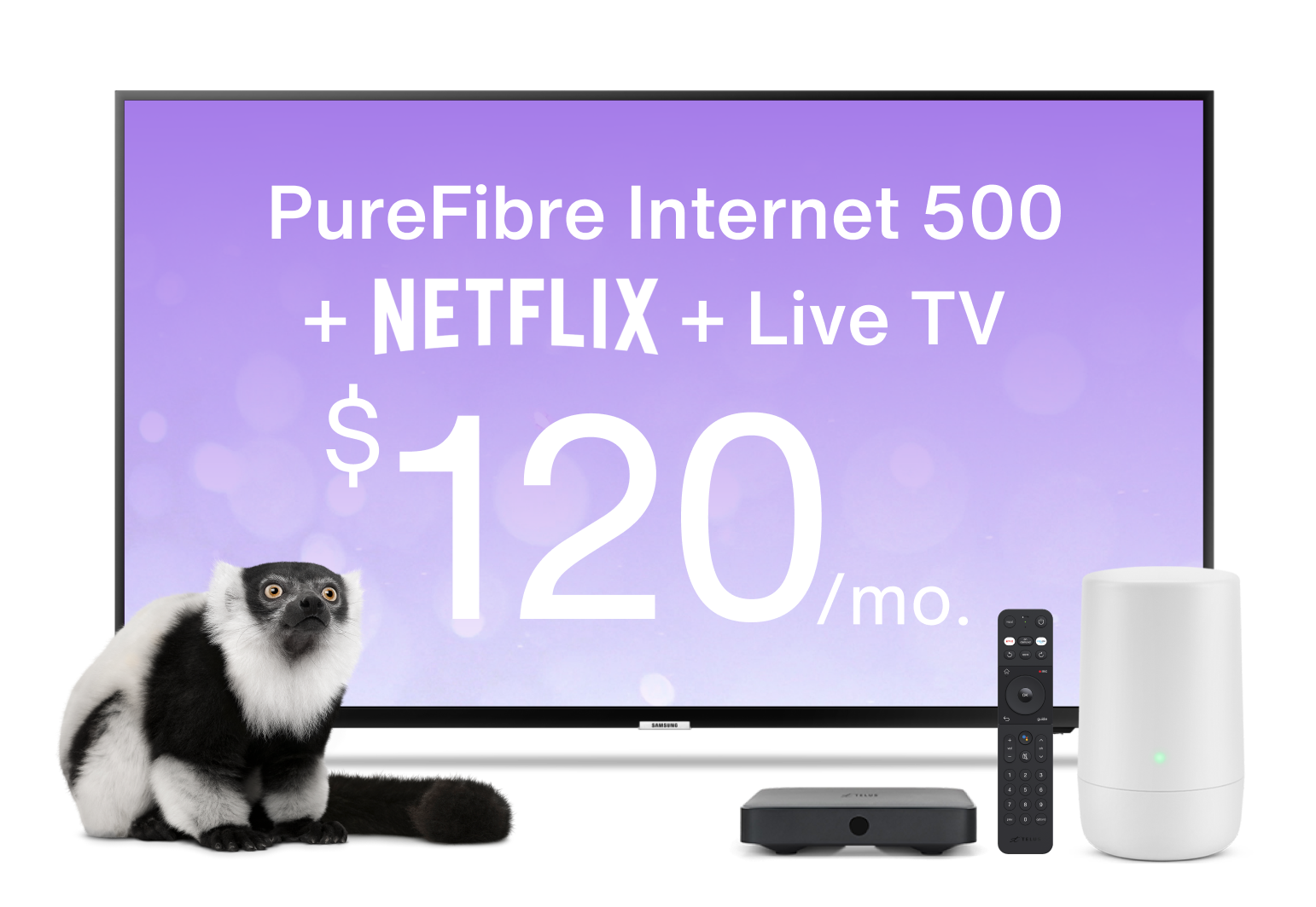 Live TV And Netflix With Internet 500 | TELUS