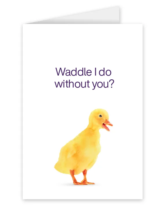 A card featuring a duckling that says: Waddle I do without you