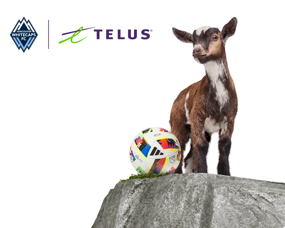 A goat standing on a mountain with a soccer ball. To the left are the Vancouver Rise FC and TELUS logo.