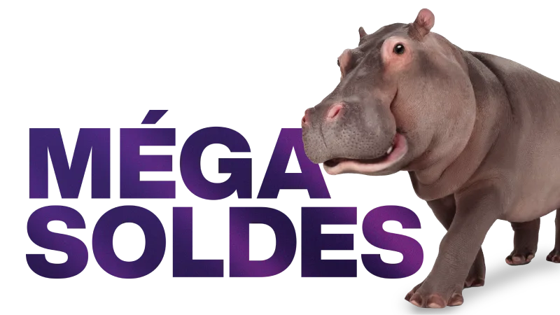Un hippopotame couché à côté d'une affiche sur laquelle on peut lire « MÉGA SOLDES ».