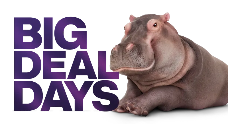A hippo laying beside a graphic that reads 'Big Deal Days'.