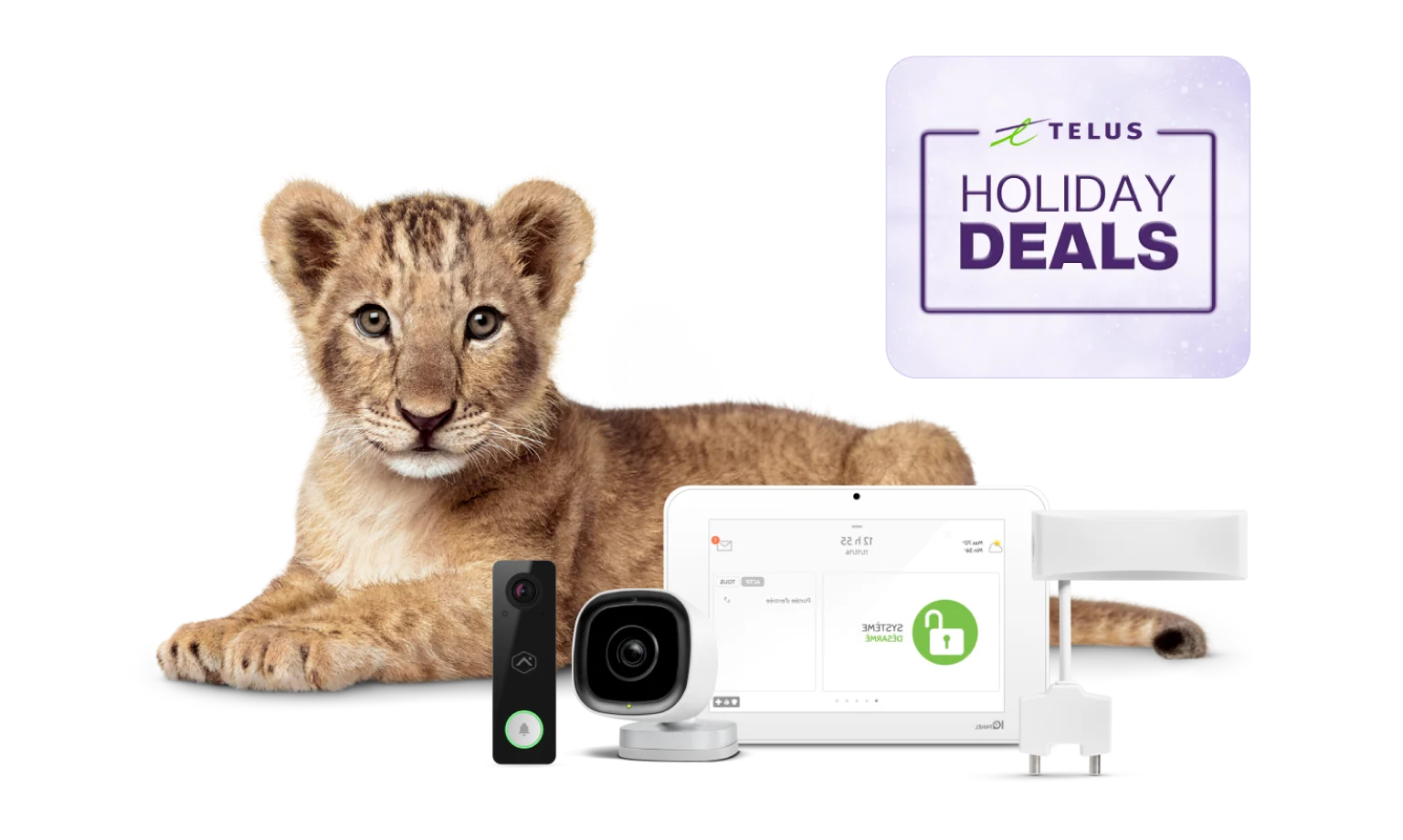 An image showing a lion cub with various SmartHome security devices.