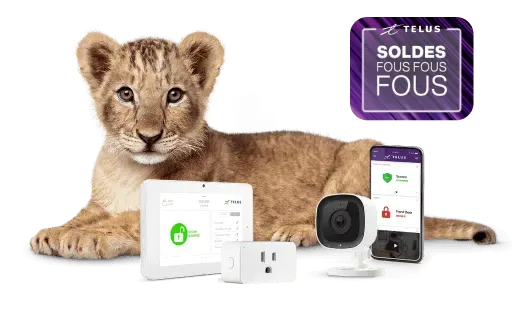 Une image montrant un lionceau avec divers dispositifs de sécurité SmartHome.