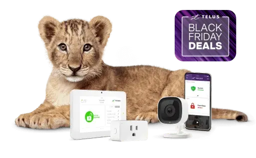 An image showing a lion cub with various SmartHome security devices.