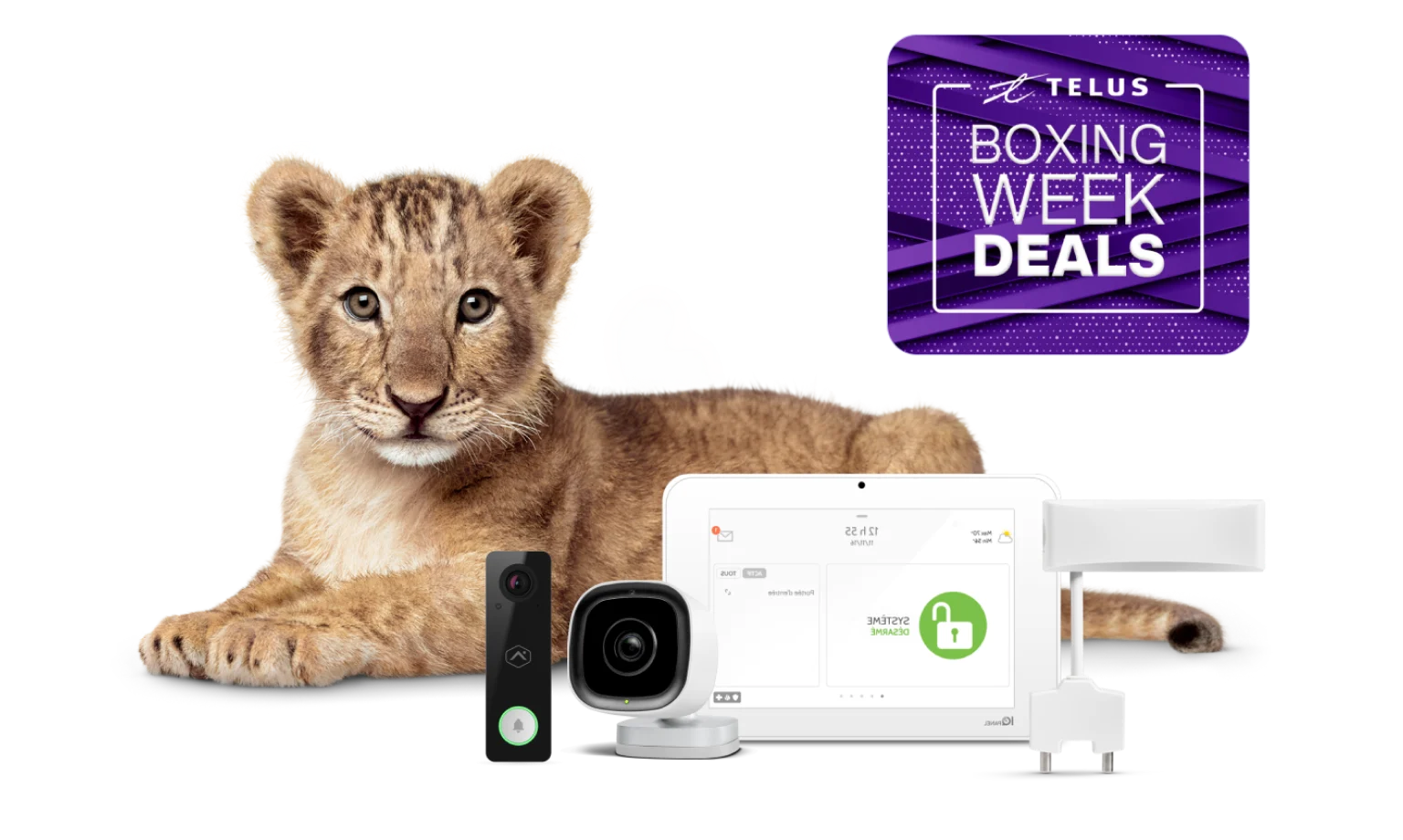 An image showing a lion cub with various SmartHome security devices.